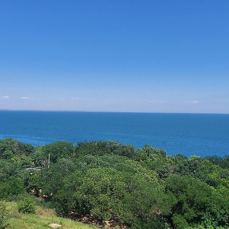 Arnautskaya Apartments Odessa Dış mekan fotoğraf